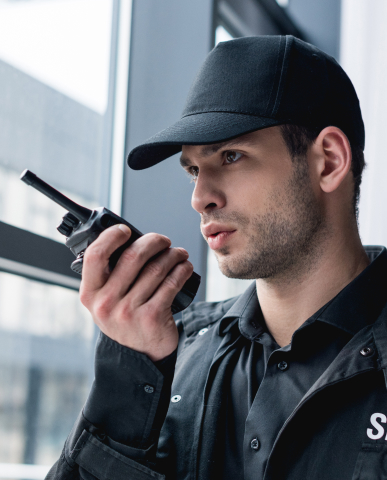 Private Investigators Kelman Agency